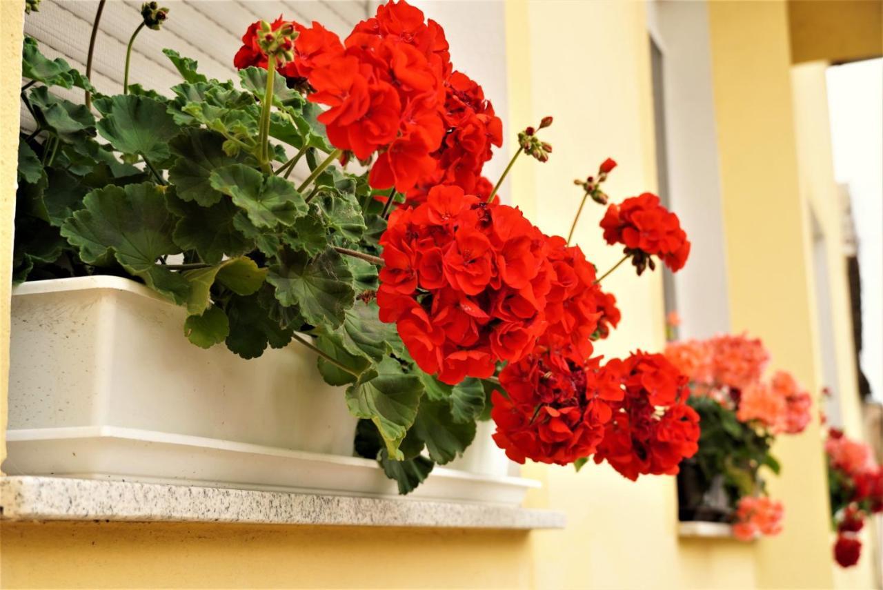 Club Haus 502 Kalocsa Bed & Breakfast Dış mekan fotoğraf