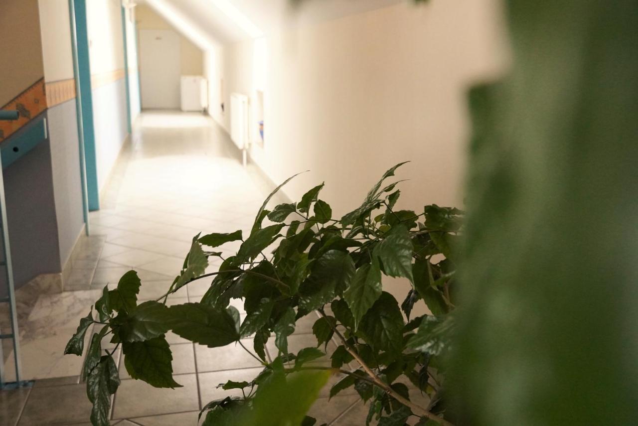 Club Haus 502 Kalocsa Bed & Breakfast Dış mekan fotoğraf