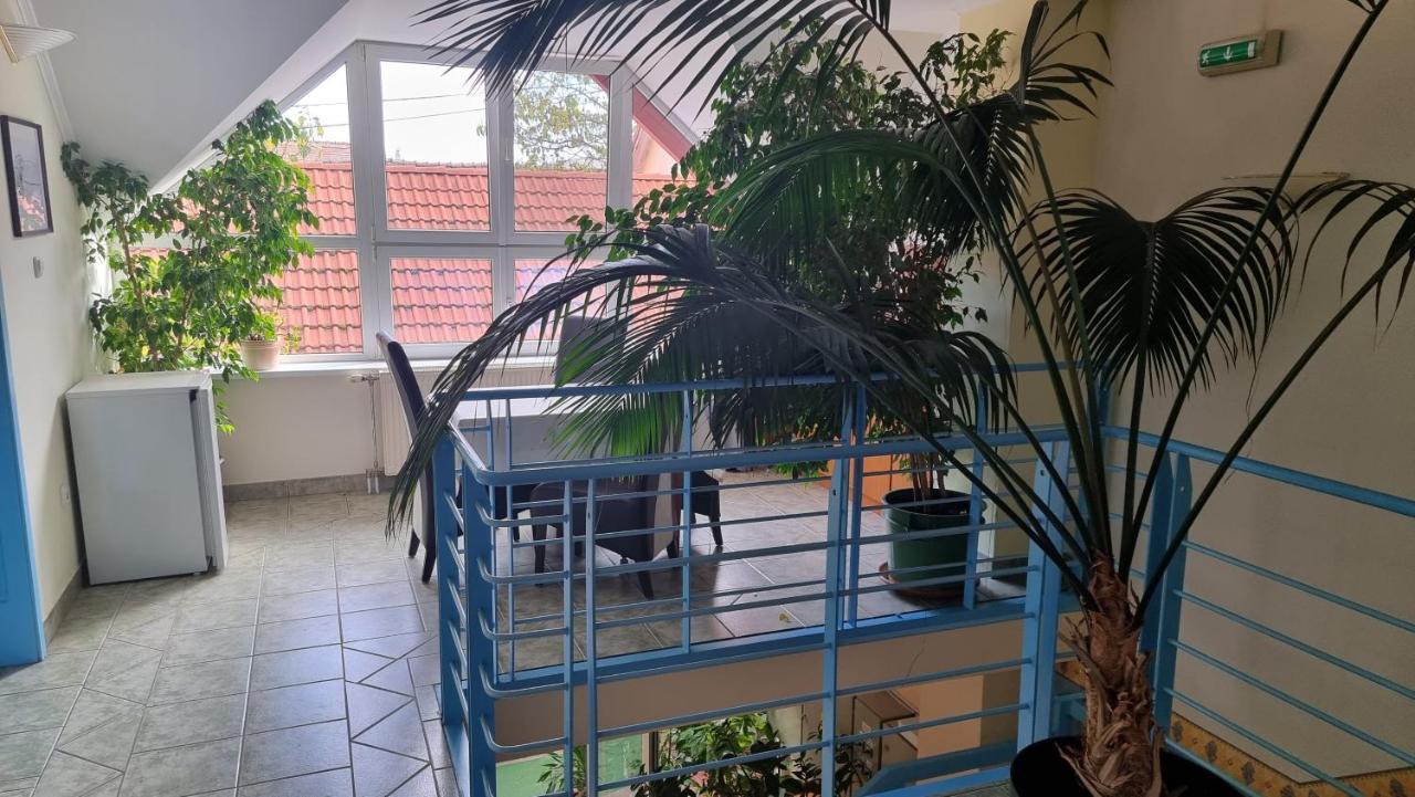 Club Haus 502 Kalocsa Bed & Breakfast Dış mekan fotoğraf